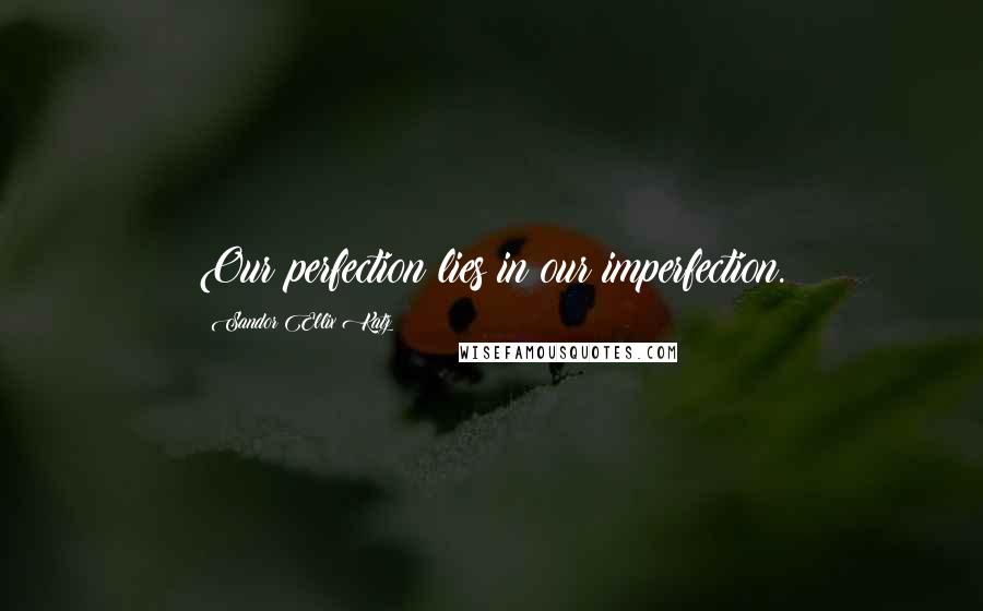Sandor Ellix Katz Quotes: Our perfection lies in our imperfection.