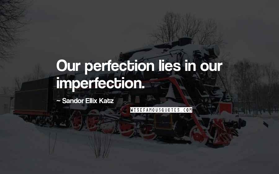 Sandor Ellix Katz Quotes: Our perfection lies in our imperfection.