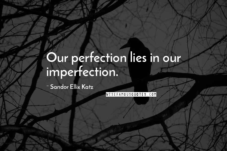 Sandor Ellix Katz Quotes: Our perfection lies in our imperfection.