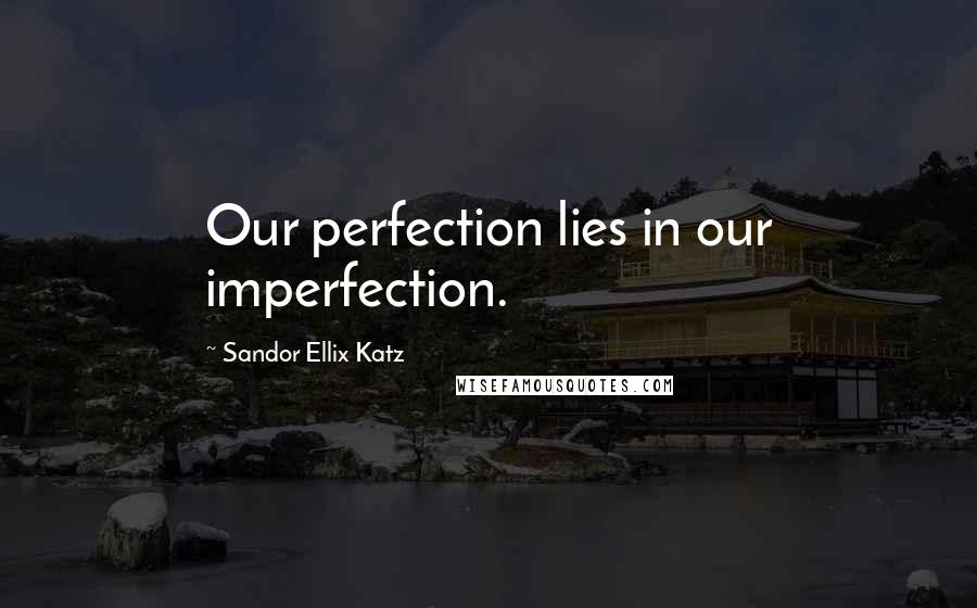 Sandor Ellix Katz Quotes: Our perfection lies in our imperfection.