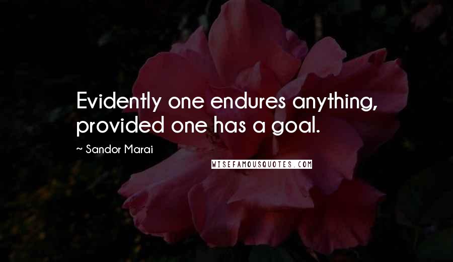 Sandor Marai Quotes: Evidently one endures anything, provided one has a goal.