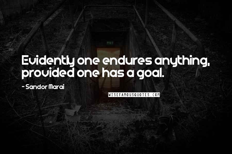 Sandor Marai Quotes: Evidently one endures anything, provided one has a goal.