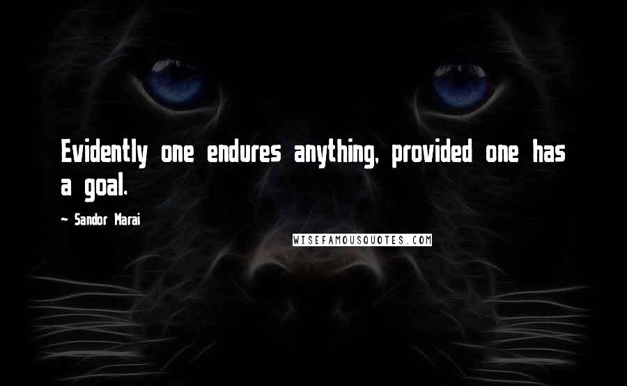 Sandor Marai Quotes: Evidently one endures anything, provided one has a goal.
