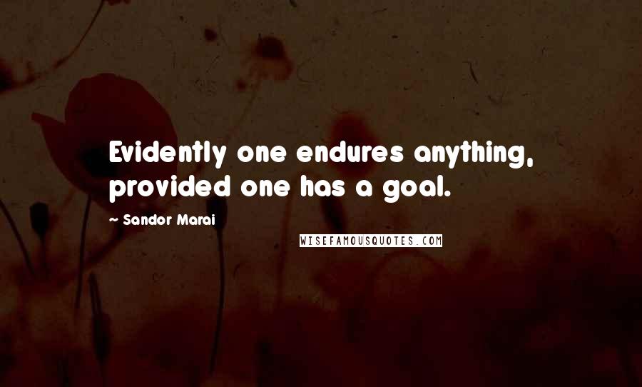 Sandor Marai Quotes: Evidently one endures anything, provided one has a goal.