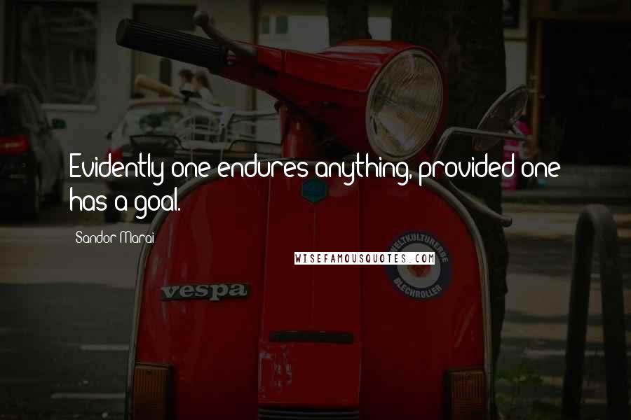 Sandor Marai Quotes: Evidently one endures anything, provided one has a goal.