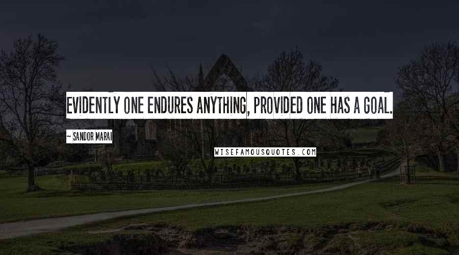 Sandor Marai Quotes: Evidently one endures anything, provided one has a goal.