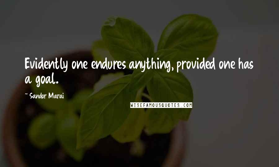 Sandor Marai Quotes: Evidently one endures anything, provided one has a goal.