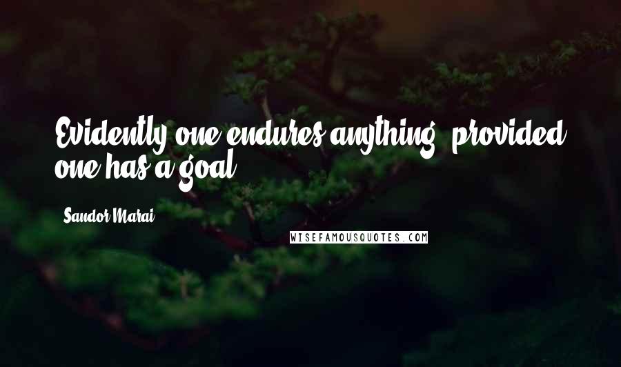 Sandor Marai Quotes: Evidently one endures anything, provided one has a goal.