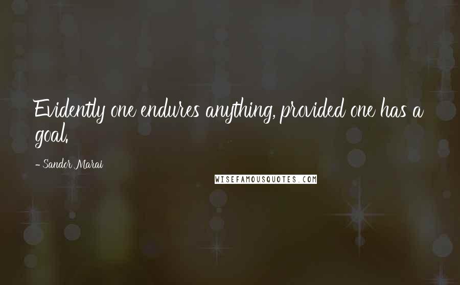 Sandor Marai Quotes: Evidently one endures anything, provided one has a goal.