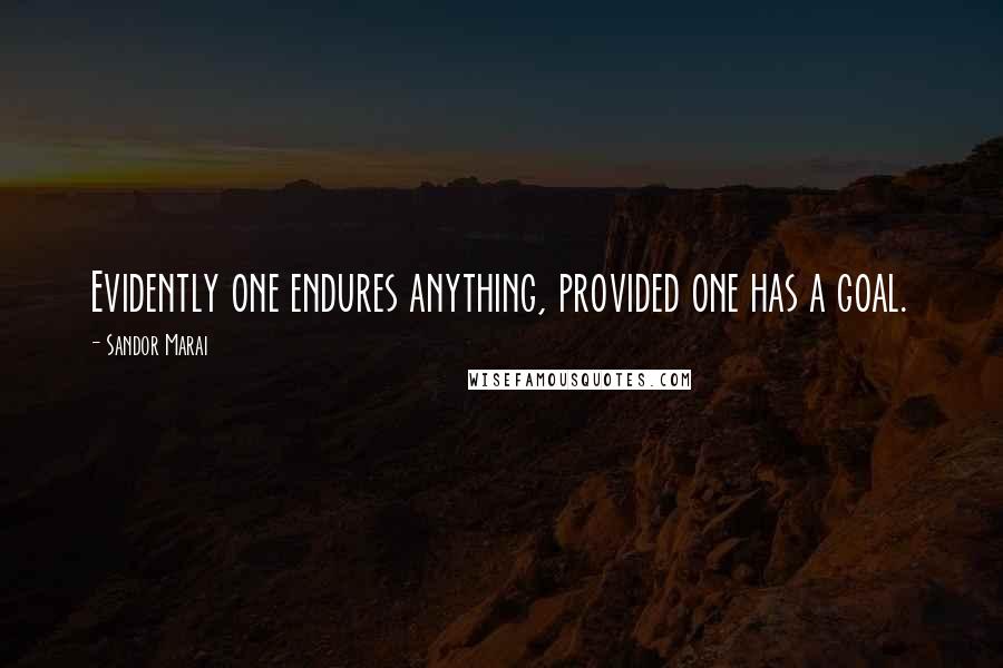 Sandor Marai Quotes: Evidently one endures anything, provided one has a goal.