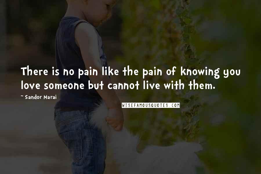 Sandor Marai Quotes: There is no pain like the pain of knowing you love someone but cannot live with them.