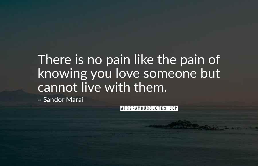 Sandor Marai Quotes: There is no pain like the pain of knowing you love someone but cannot live with them.