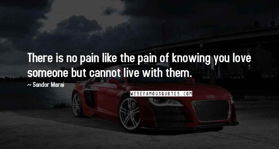 Sandor Marai Quotes: There is no pain like the pain of knowing you love someone but cannot live with them.