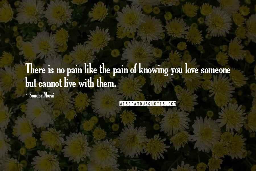 Sandor Marai Quotes: There is no pain like the pain of knowing you love someone but cannot live with them.