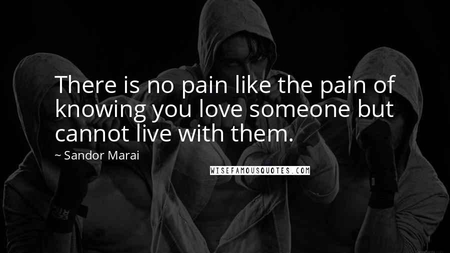 Sandor Marai Quotes: There is no pain like the pain of knowing you love someone but cannot live with them.