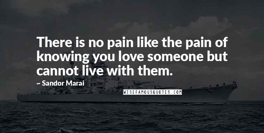 Sandor Marai Quotes: There is no pain like the pain of knowing you love someone but cannot live with them.