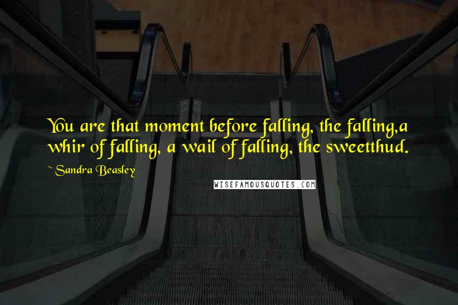 Sandra Beasley Quotes: You are that moment before falling, the falling,a whir of falling, a wail of falling, the sweetthud.
