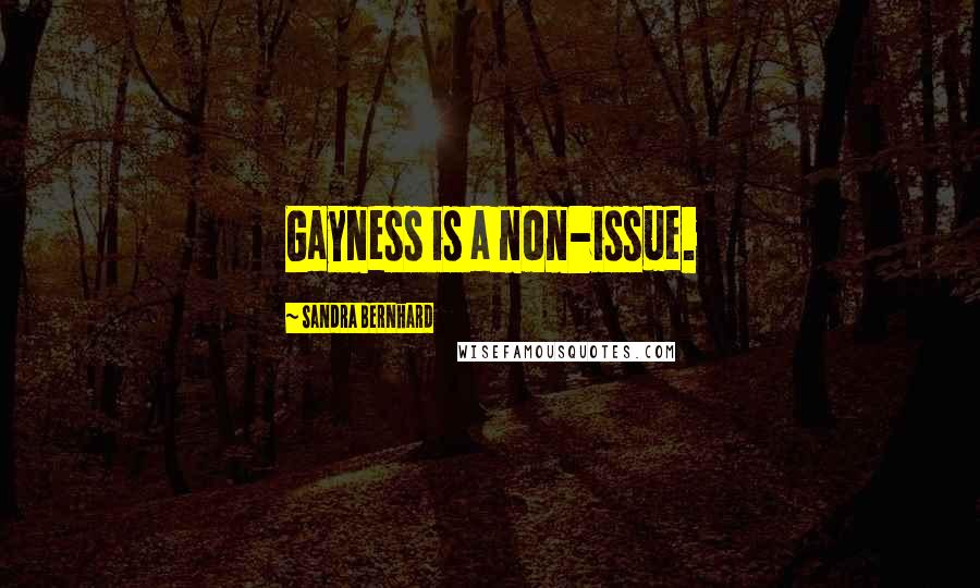 Sandra Bernhard Quotes: Gayness is a non-issue.