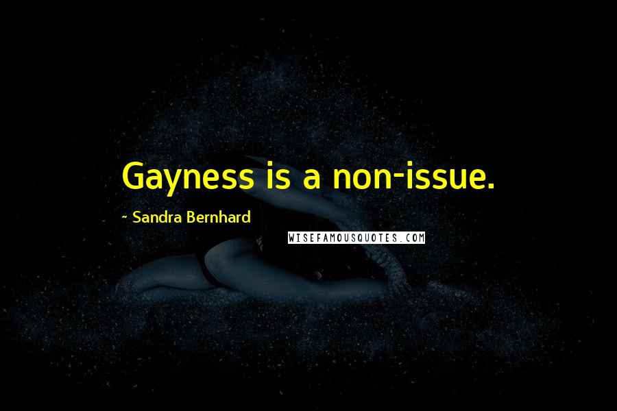Sandra Bernhard Quotes: Gayness is a non-issue.
