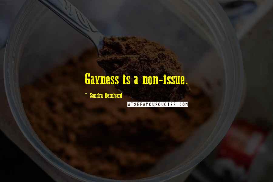 Sandra Bernhard Quotes: Gayness is a non-issue.