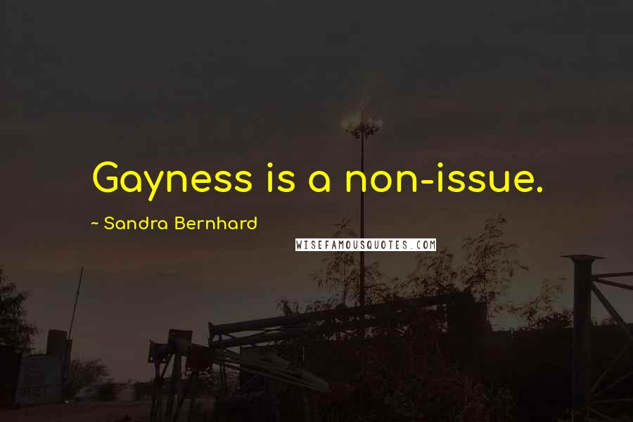 Sandra Bernhard Quotes: Gayness is a non-issue.