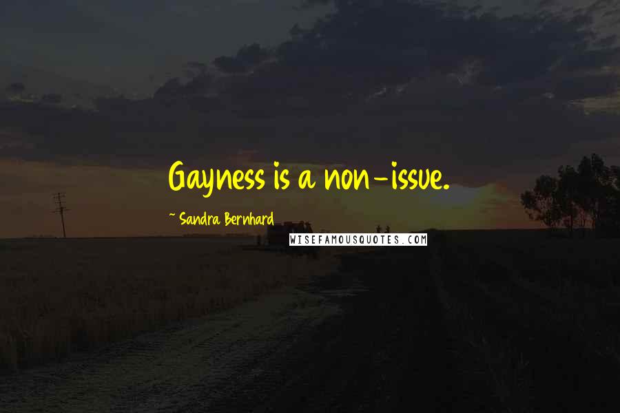 Sandra Bernhard Quotes: Gayness is a non-issue.
