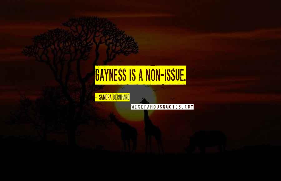 Sandra Bernhard Quotes: Gayness is a non-issue.