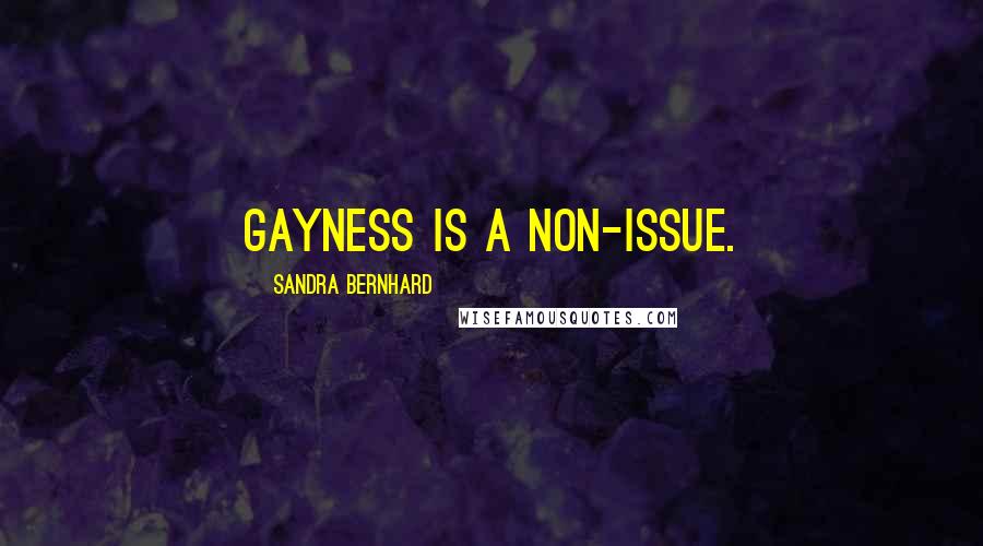Sandra Bernhard Quotes: Gayness is a non-issue.