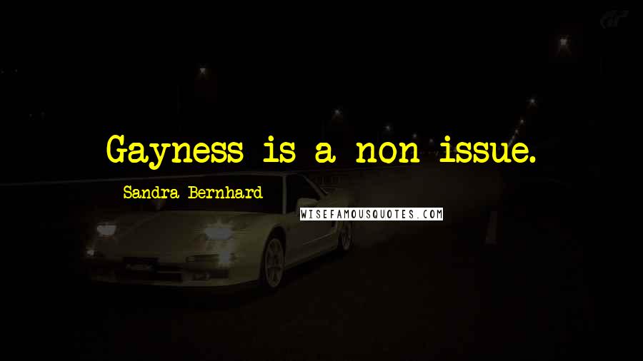 Sandra Bernhard Quotes: Gayness is a non-issue.