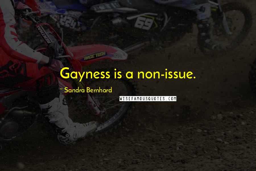 Sandra Bernhard Quotes: Gayness is a non-issue.