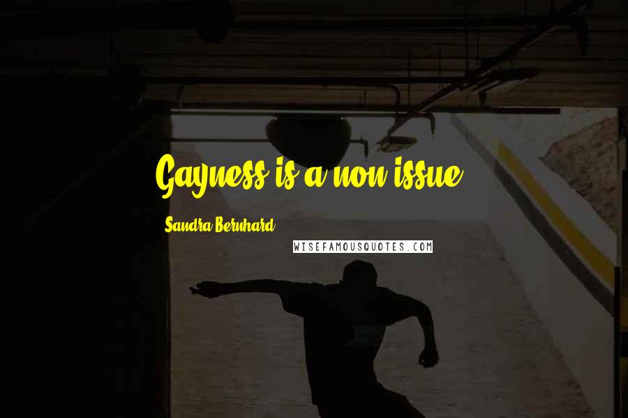Sandra Bernhard Quotes: Gayness is a non-issue.