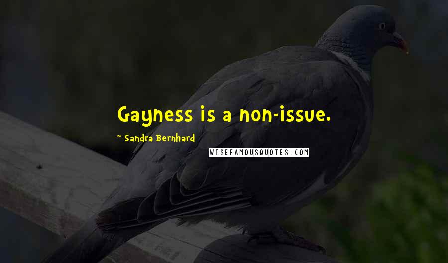 Sandra Bernhard Quotes: Gayness is a non-issue.