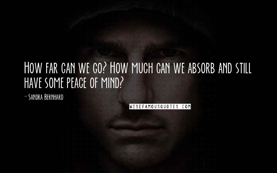 Sandra Bernhard Quotes: How far can we go? How much can we absorb and still have some peace of mind?