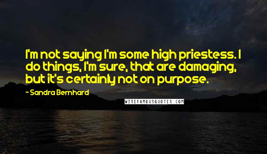 Sandra Bernhard Quotes: I'm not saying I'm some high priestess. I do things, I'm sure, that are damaging, but it's certainly not on purpose.