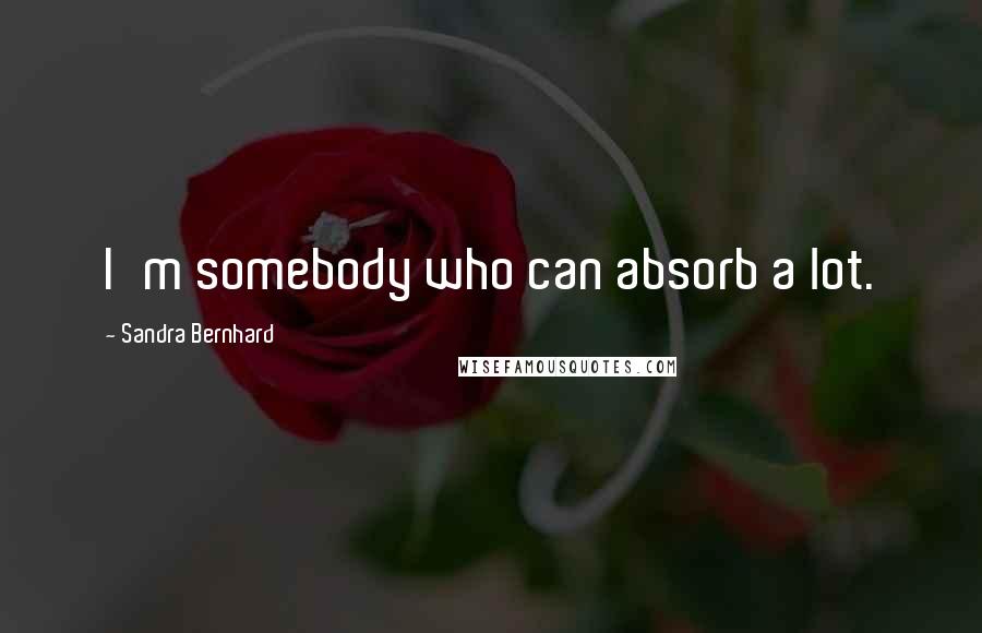 Sandra Bernhard Quotes: I'm somebody who can absorb a lot.