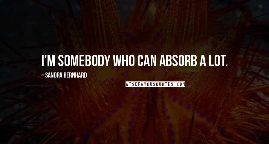 Sandra Bernhard Quotes: I'm somebody who can absorb a lot.