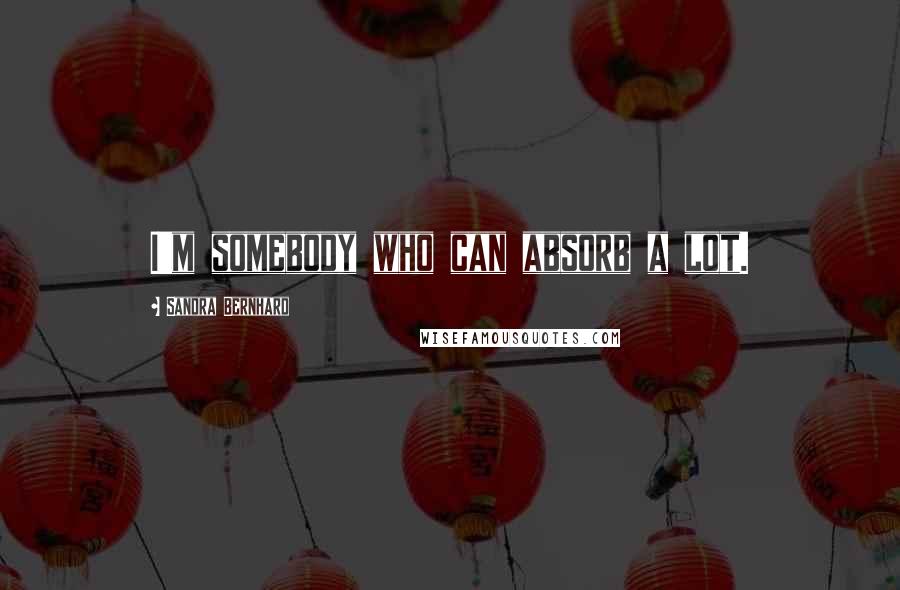 Sandra Bernhard Quotes: I'm somebody who can absorb a lot.