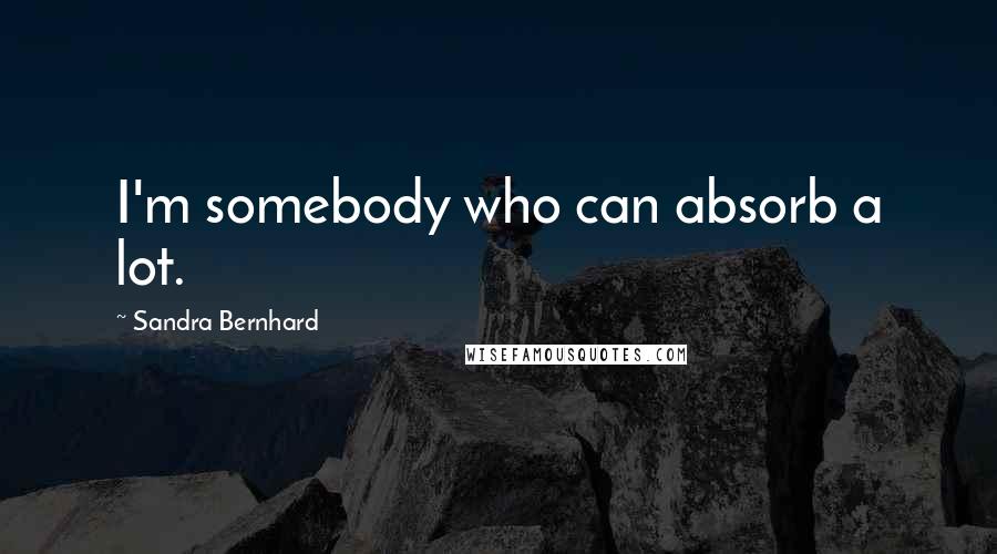 Sandra Bernhard Quotes: I'm somebody who can absorb a lot.