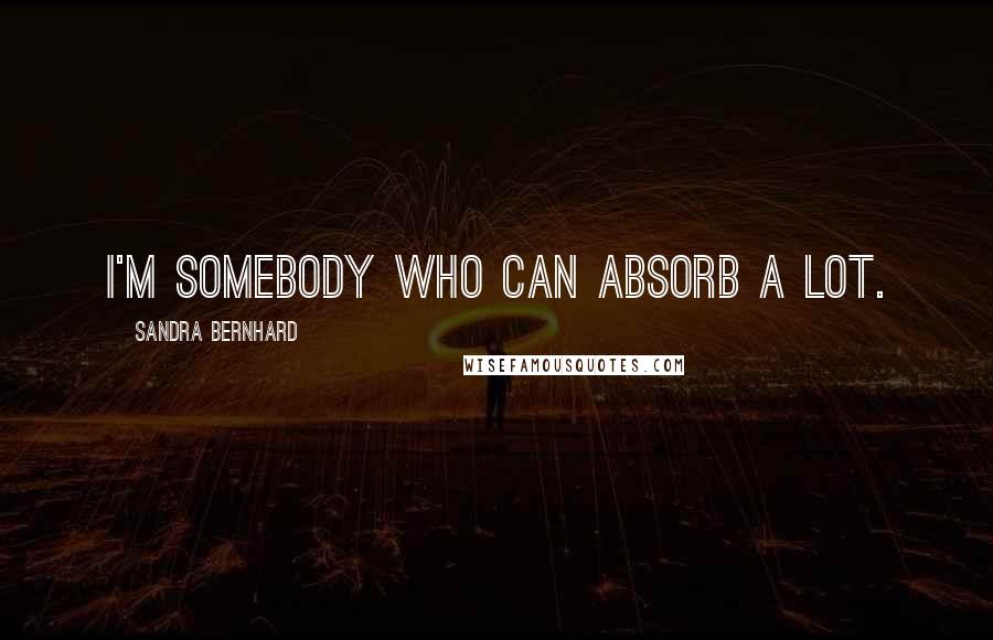 Sandra Bernhard Quotes: I'm somebody who can absorb a lot.