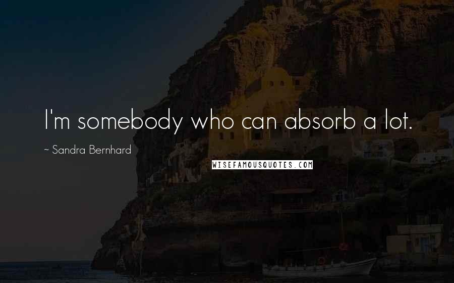 Sandra Bernhard Quotes: I'm somebody who can absorb a lot.