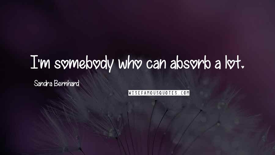 Sandra Bernhard Quotes: I'm somebody who can absorb a lot.