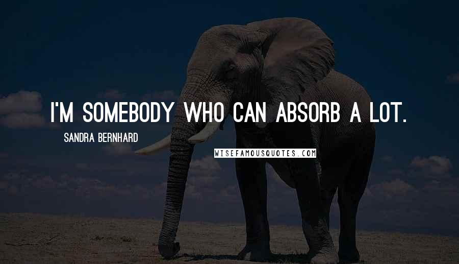 Sandra Bernhard Quotes: I'm somebody who can absorb a lot.