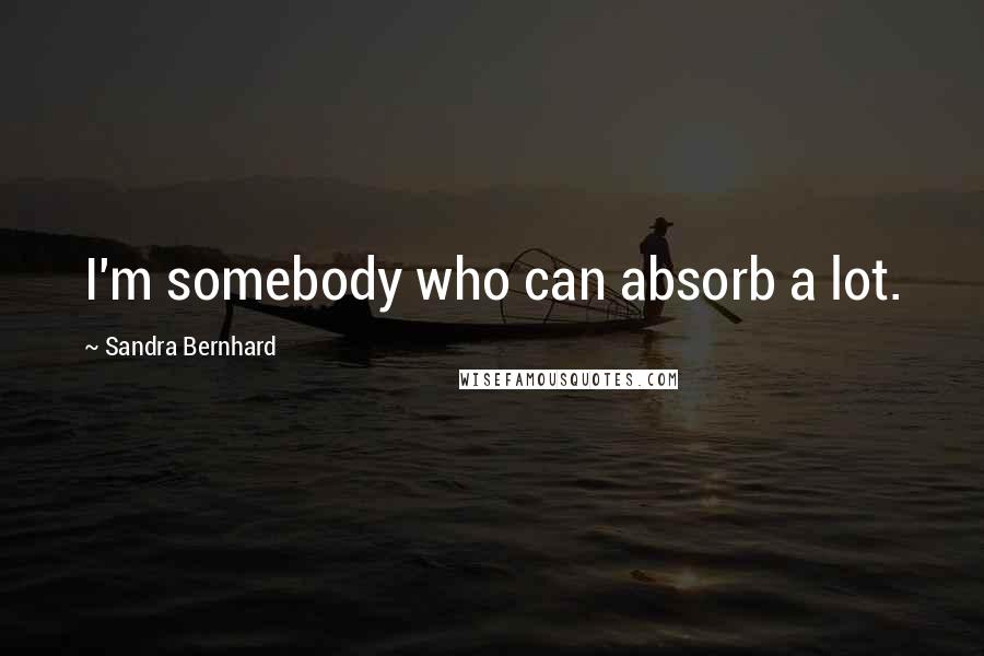 Sandra Bernhard Quotes: I'm somebody who can absorb a lot.