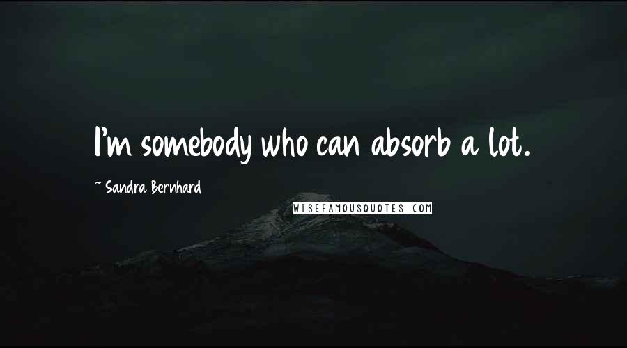 Sandra Bernhard Quotes: I'm somebody who can absorb a lot.