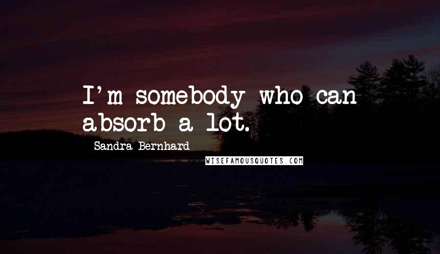 Sandra Bernhard Quotes: I'm somebody who can absorb a lot.