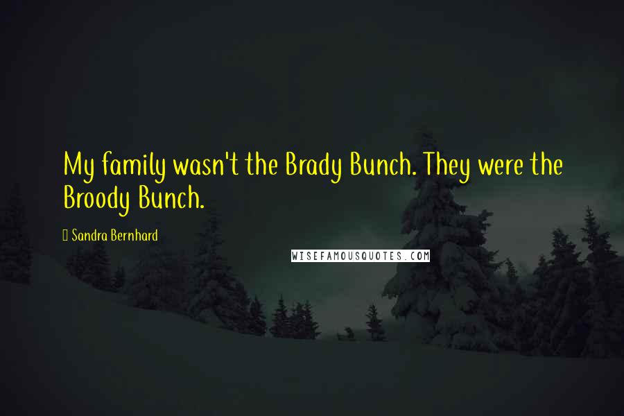Sandra Bernhard Quotes: My family wasn't the Brady Bunch. They were the Broody Bunch.