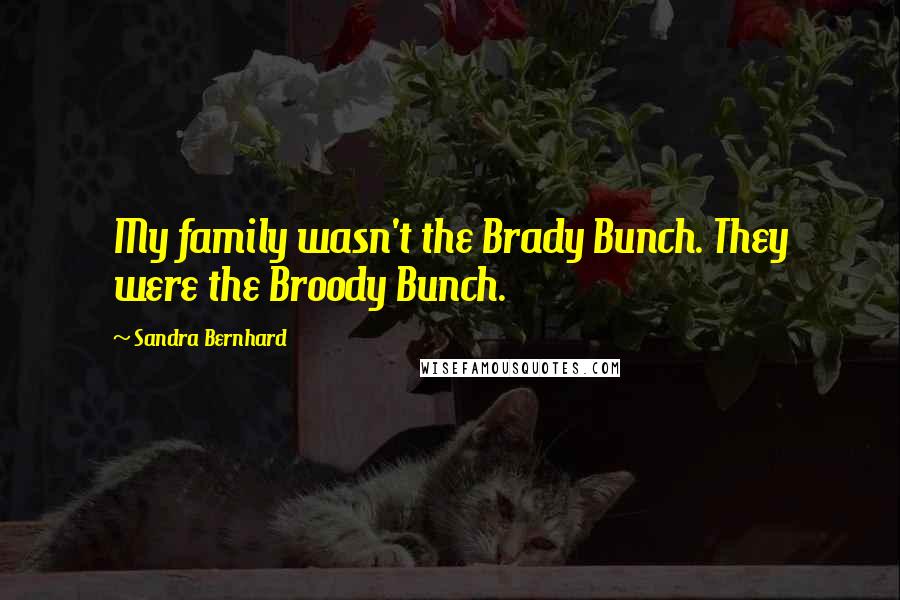 Sandra Bernhard Quotes: My family wasn't the Brady Bunch. They were the Broody Bunch.