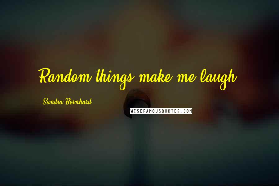 Sandra Bernhard Quotes: Random things make me laugh.