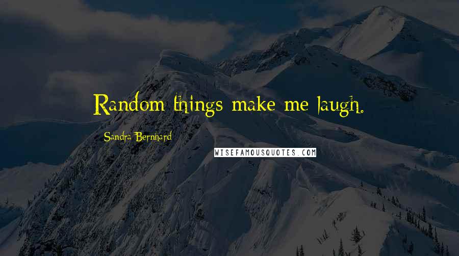Sandra Bernhard Quotes: Random things make me laugh.