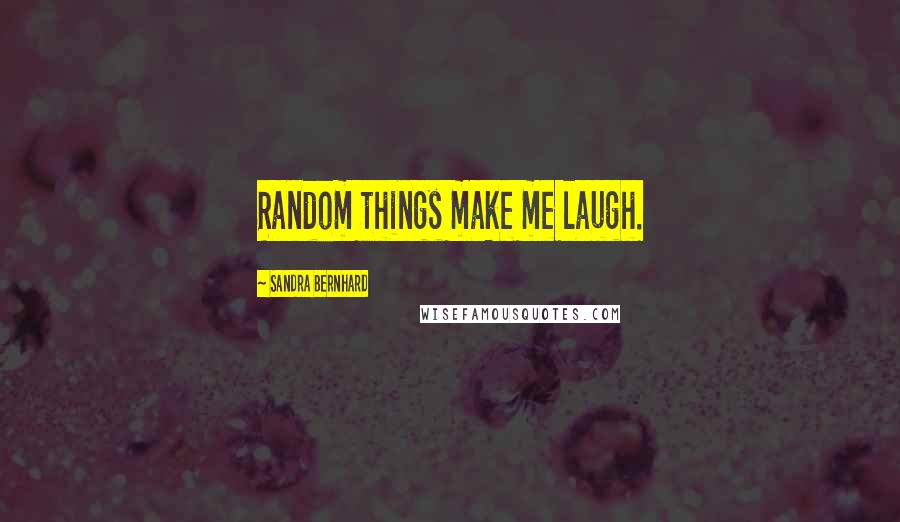 Sandra Bernhard Quotes: Random things make me laugh.